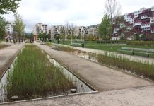 S-Campus Shows Seattle’s Industrial Land Use Policies Need a Reset