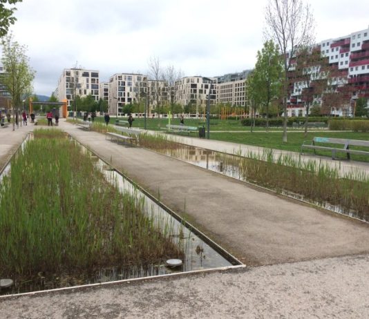 Housing Policy Lessons From Vienna: Part I