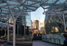 What To Expect When Expecting Amazon