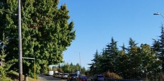 Planned Bike Facility in Beacon Hill Gets Downgraded