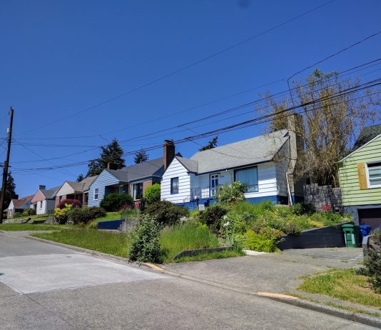 Pour One Out for the True Victims of the Housing Crisis: Single Family Homeowners Single Family homes.