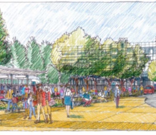 Sound Transit Releases New Redmond Station Designs and Survey