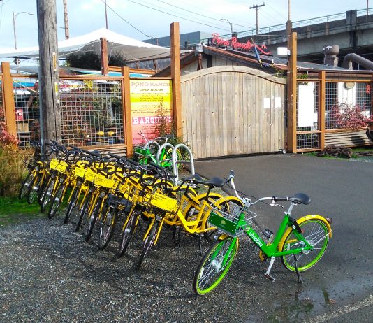 Seattle’s Bikeshare Pilot Deserves More Scrutiny
