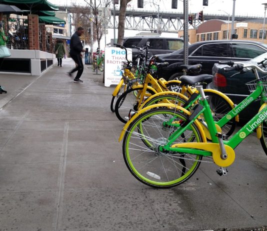 Mid-Pilot Check-in: Bikeshare Ridership Grows but Rides Per Bike Plummets