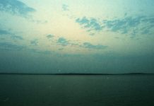 Bus Driver Yin & Bus Driver Yang