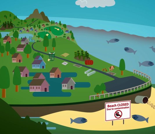 Sunday Video: Stormwater Pollution and Green Infrastructure Solutions