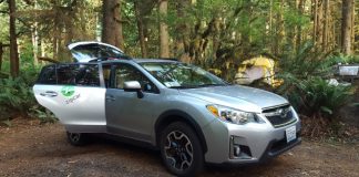 The Benefits of Living Car-Free