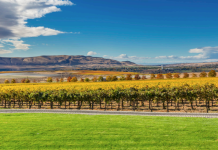 $20 Per Ton: Governor Inslee Proposes Carbon Tax