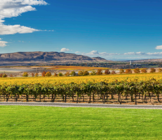 $20 Per Ton: Governor Inslee Proposes Carbon Tax