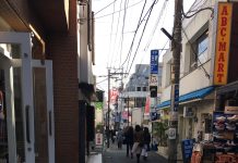 Wandering Tokyo and Finding Urban Gems