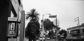 Nathan the Half-Dead Zombie Vampire