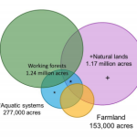 Screen Shot 2018-01-30 at 10.44.00