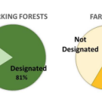 Screen Shot 2018-01-30 at 10.45.57