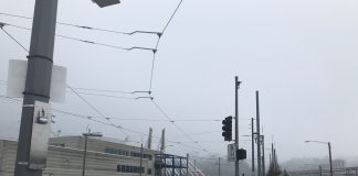 What We’re Reading: Blind Spot, Microtransit, and SRO Is Art