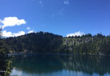 PSRC Releases First Ever Regional Open Space Plan