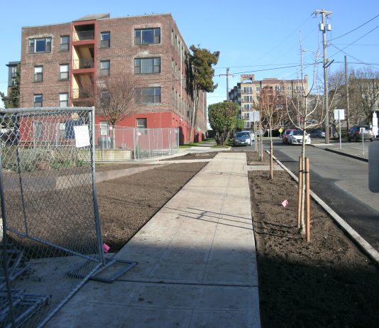 Reclaiming Street Space in Capitol Hill