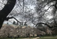 What We’re Reading: Kenmore Urbanism, Federal Regression, and Disputable Fugures