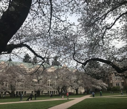 What We’re Reading: Kenmore Urbanism, Federal Regression, and Disputable Fugures