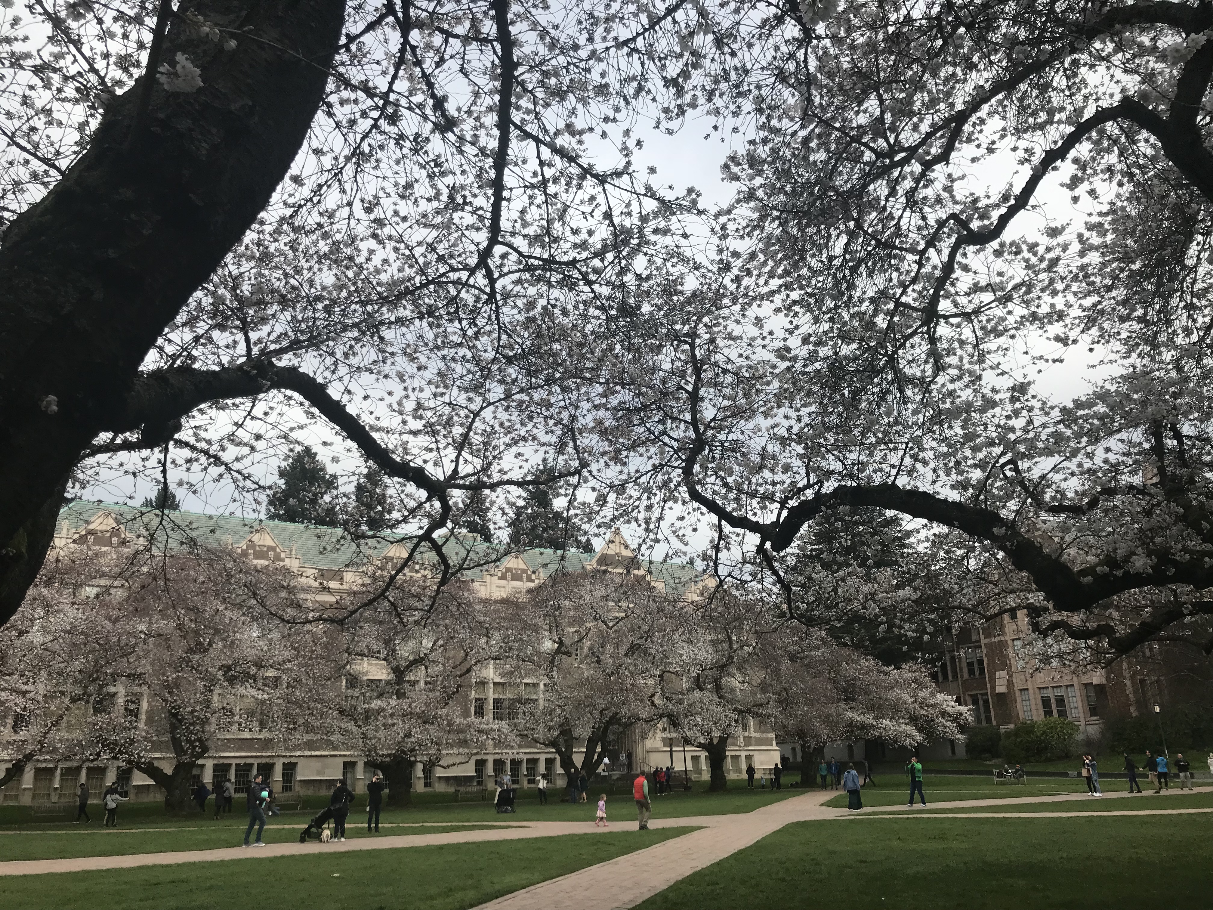 34890D02-743D-492C-A15B-E3B116344321