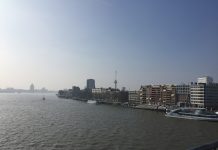 What We’re Reading: Brooklyn Shrinking, Fully Funded, and Chaotic Purpose