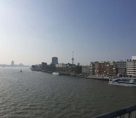 What We’re Reading: Brooklyn Shrinking, Fully Funded, and Chaotic Purpose