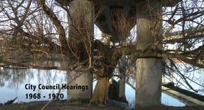 Sunday Video: Seattle Freeway Revolt