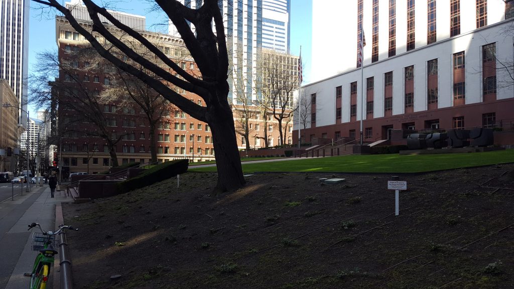 A lawn in front of Nakamura Courthouse appears to go unused. (Photo by author)
