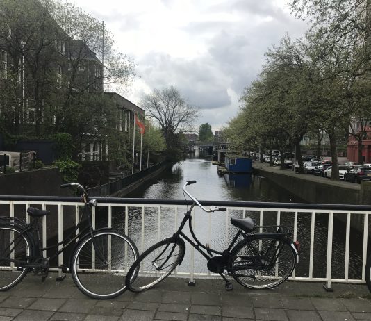 What We’re Reading: Zoning for Rentals and Investing in TOD