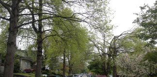 Wallingford RPZ Proposal Moves Forward With Two New Zones