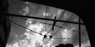 “Highly Connectible and Really Gangster”