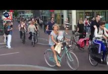 Sunday Video: Busiest Dutch Bicycle Path