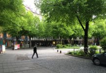 Trees + Density = Livability