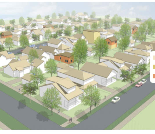 DEIS Shows Options and Urgency of Pending Backyard Cottage Reform