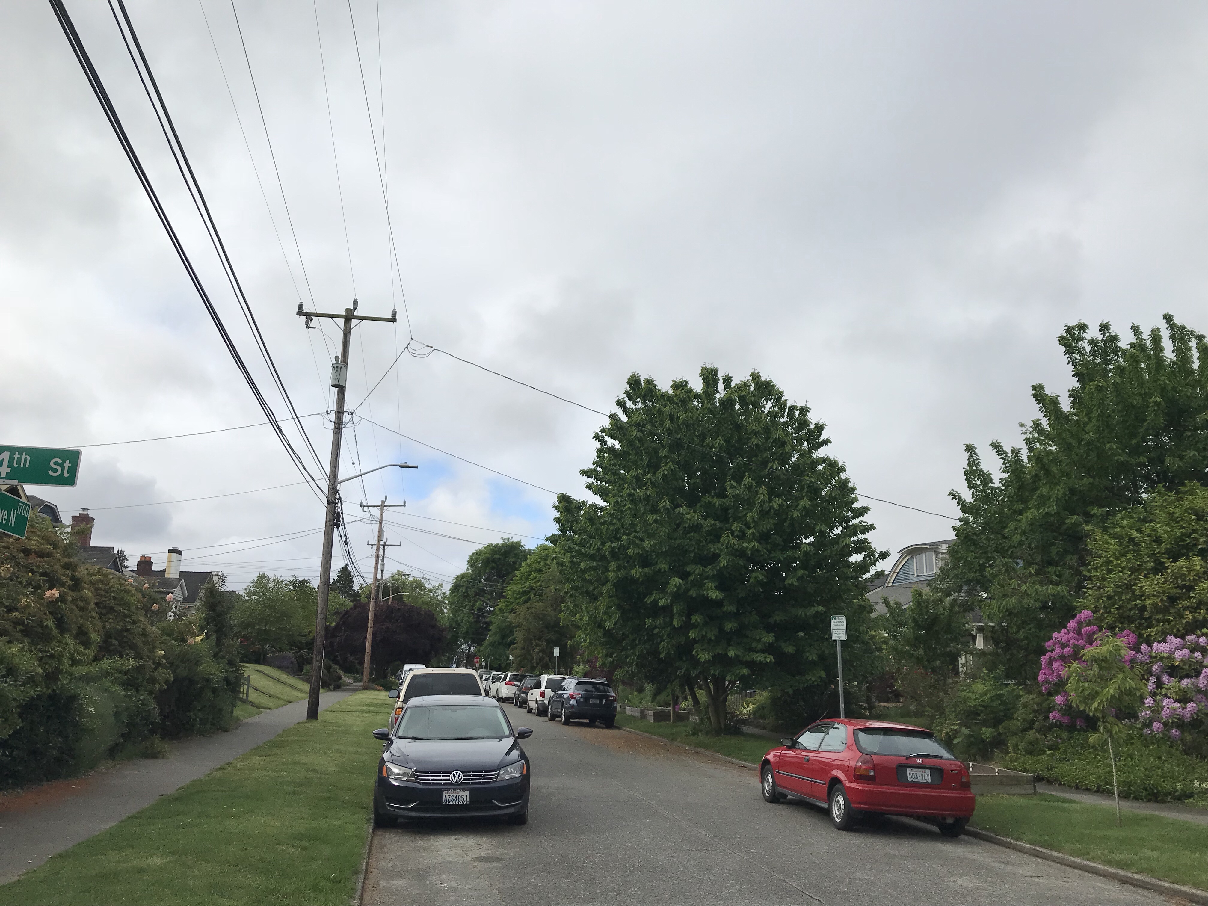 Trees in a single-family area of Wallingford.