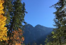 Get Thee to Middle Fork, Cyclists
