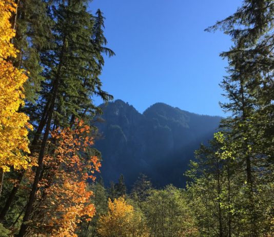 Get Thee to Middle Fork, Cyclists