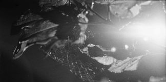 358 Thoughts (on the 348)