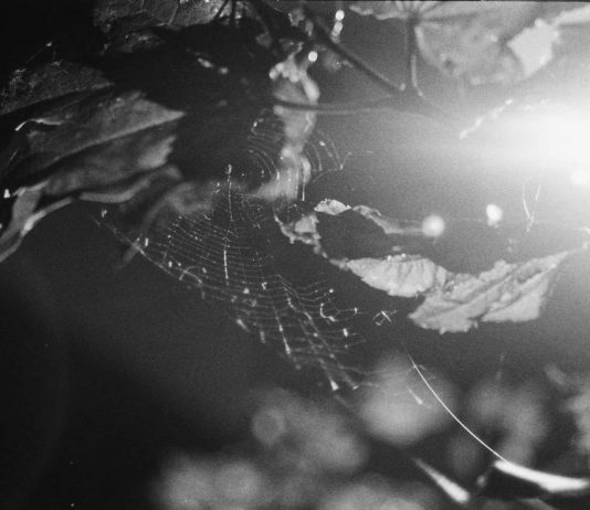 358 Thoughts (on the 348)