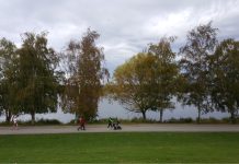 How SDOT’s Plans for Green Lake and Wallingford Can Go From Good to Great