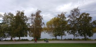 How SDOT’s Plans for Green Lake and Wallingford Can Go From Good to Great