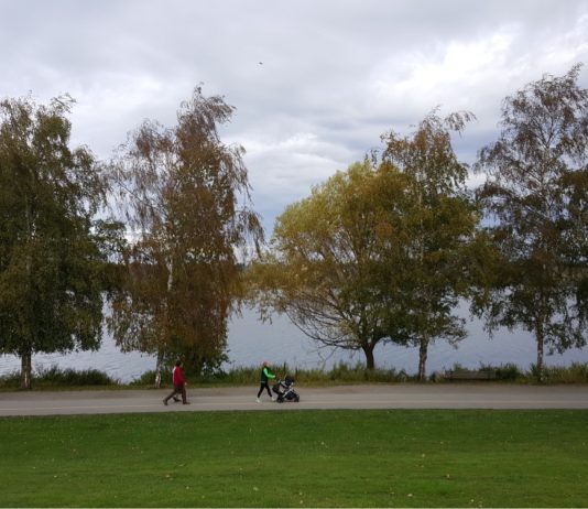 How SDOT’s Plans for Green Lake and Wallingford Can Go From Good to Great