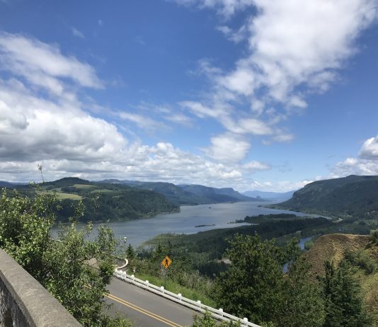 Initiative to Transition Washington to a Low-Carbon Future Headed for November Vote