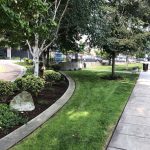 Green space in Opera Alley