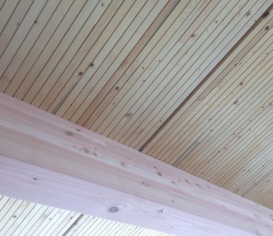 Mass Timber Social Housing on Public Land FTW