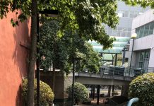 Tacoma: Public Space and Public Life