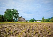 Wonkabout Washington: Pierce County Doubles Protected Farmland, Next Steps on Sound Transit’s Paid Parking