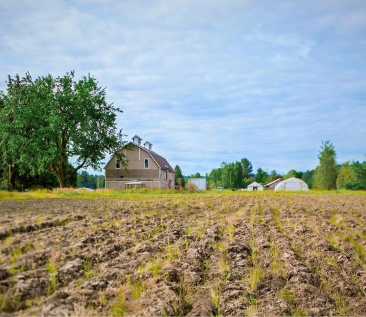 Wonkabout Washington: Pierce County Doubles Protected Farmland, Next Steps on Sound Transit’s Paid Parking