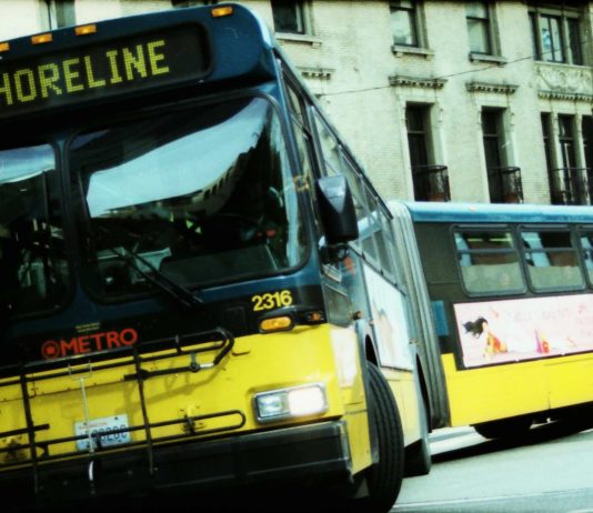 Nathan’s Bus: The Perspicacious Hairdresser