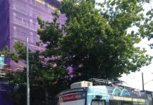 Long Promised Center City Streetcar Would Be a Boon to First Hill