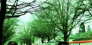 Book Launch at the Art Show: October 13